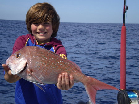 Mills Charters Fishing And Whale Watch Cruises - New South Wales Tourism  4