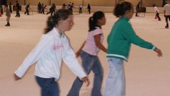 Hunter Ice Stadium - New South Wales Tourism  4