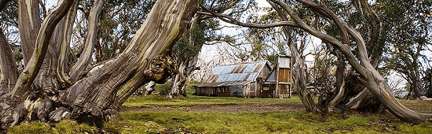High Country Scenic Tours - New South Wales Tourism 