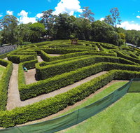 Bellingham Maze - New South Wales Tourism 