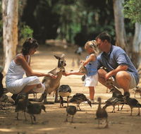 Billabong Sanctuary - New South Wales Tourism 