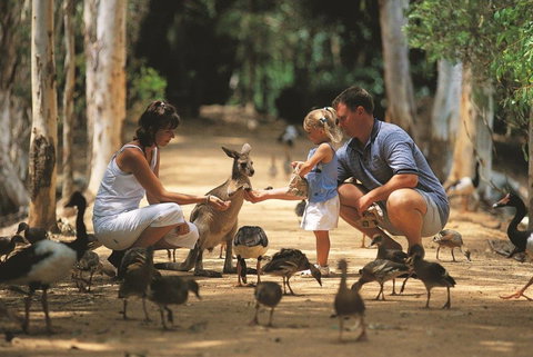 Billabong Sanctuary - New South Wales Tourism  0