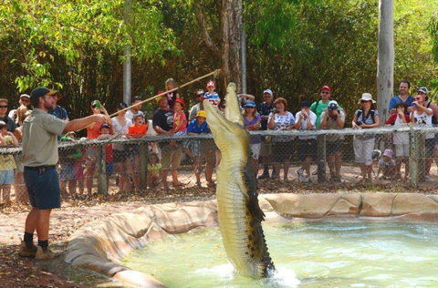 Billabong Sanctuary - New South Wales Tourism  2