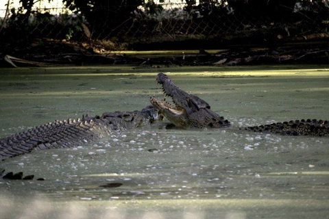 Billabong Sanctuary - New South Wales Tourism  3
