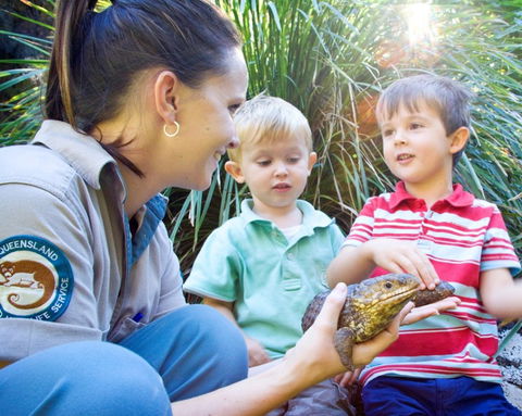 David Fleay Wildlife Park - New South Wales Tourism  3