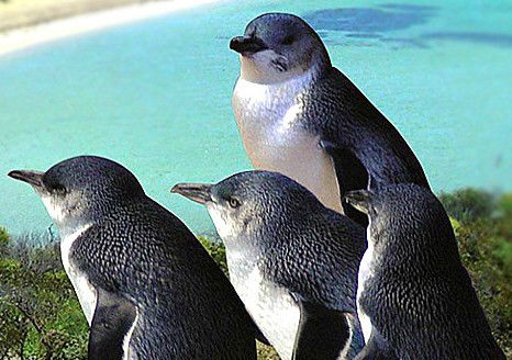  New South Wales Tourism 