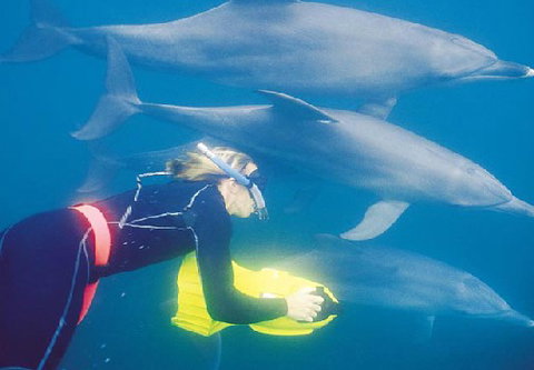 Rockingham Wild Encounters - New South Wales Tourism  1