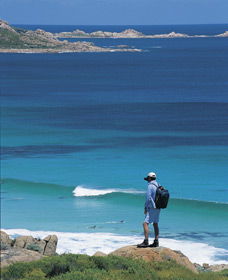 Smiths Beach - New South Wales Tourism  0