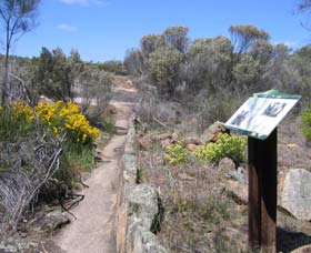 Christmas Rock Walk - New South Wales Tourism  0