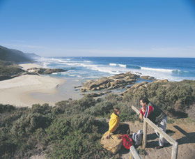 Lights Beach - New South Wales Tourism  0