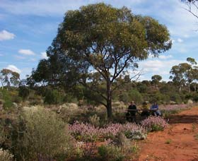 Karlkurla Bushland Park - New South Wales Tourism  0