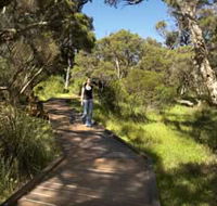 Leschenault Peninsula Conservation Park - New South Wales Tourism 
