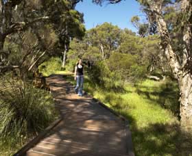 Leschenault Peninsula Conservation Park - New South Wales Tourism  0