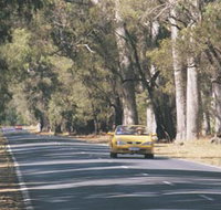 Ludlow Tuart Forest - New South Wales Tourism 