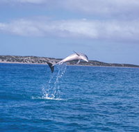 Steep Point - New South Wales Tourism 
