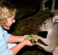 Discovery Bay's Walk on the Wild Side - New South Wales Tourism 