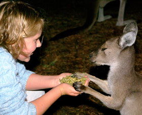 Discovery Bay's Walk On The Wild Side - New South Wales Tourism  0