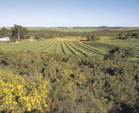 Chapman Valley Scenic Drive - New South Wales Tourism  0