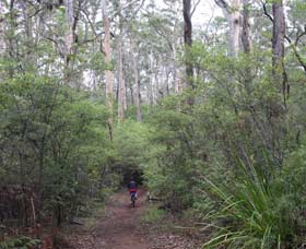 Margaret River Rails Trail - New South Wales Tourism  0
