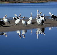 Peel Region Canoe Trails - New South Wales Tourism 