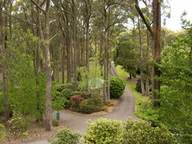 Mount Lofty Botanic Garden - New South Wales Tourism  0