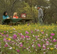 Gwambygine Park - New South Wales Tourism 