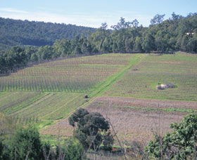 Darling Range - New South Wales Tourism  0