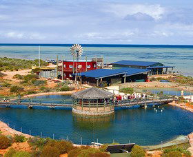Shark Bay WA New South Wales Tourism 