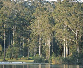 Big Brook Dam - New South Wales Tourism  0