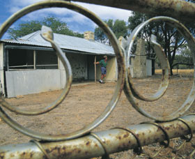 Wyola West WA New South Wales Tourism 