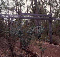 Marrinup Trail Dwellingup - New South Wales Tourism 