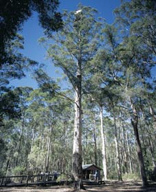 Perup WA New South Wales Tourism 