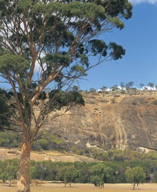 Mount Stirling WA New South Wales Tourism 