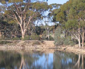 Merredin Railway Dam - New South Wales Tourism  0