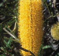Moore River National Park - New South Wales Tourism 