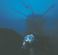 Swan Dive Wreck - New South Wales Tourism 