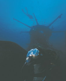 Swan Dive Wreck - New South Wales Tourism  0