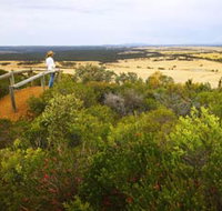 Archer Drive Scenic Drive and Lookout - New South Wales Tourism 