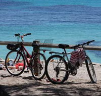 Parker Point Marine Snorkel Trail - New South Wales Tourism 