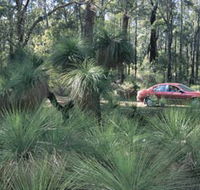 Bridgetown Jarrah Park - New South Wales Tourism 