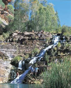 Fortescue Falls - New South Wales Tourism  0