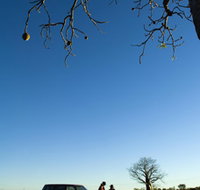 Joonjoo Botanical Trail - New South Wales Tourism 