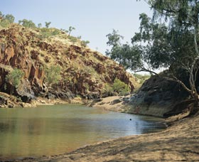 Caroline Pool - New South Wales Tourism  0