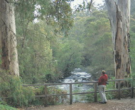 Cascades - New South Wales Tourism  0