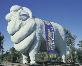 Giant Ram Tourist Park - New South Wales Tourism  0