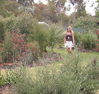 The Mythic Mazes - New South Wales Tourism 