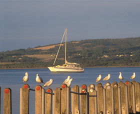 Oyster Harbour - New South Wales Tourism  0