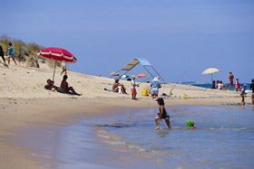 Myalup Beach - New South Wales Tourism  0