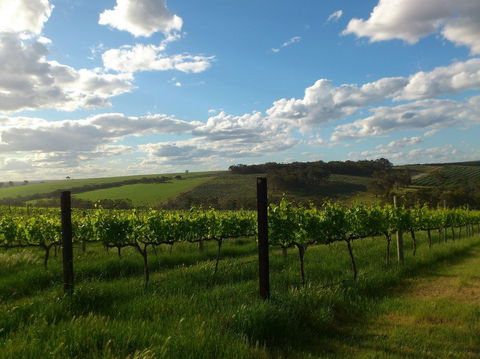 Plantagenet Wines - New South Wales Tourism  1