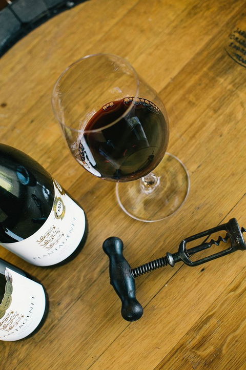 Plantagenet Wines - New South Wales Tourism  5